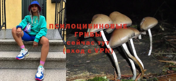гидропоника Абинск