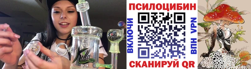 Галлюциногенные грибы Psilocybine cubensis  блэк спрут маркетплейс  Тетюши 